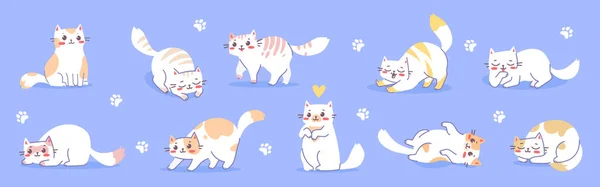 Insieme Vettoriale Illustrazione Con Felice Carino Diverso Personaggio Gatto Bianco — Vettoriale Stock