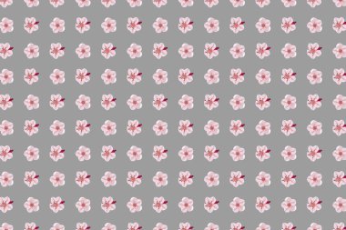 Pembe sakura çiçeklerinin soyut gri arkaplanı, yarım ton dizayn eps10