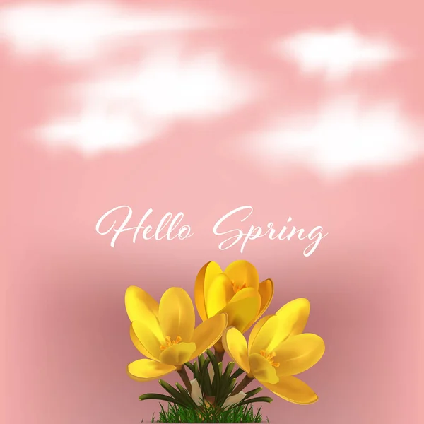 Bouquet de crocus en fleurs jaunes sur fond vectoriel rose avec nuages, poster design printemps, bonjour printemps — Image vectorielle