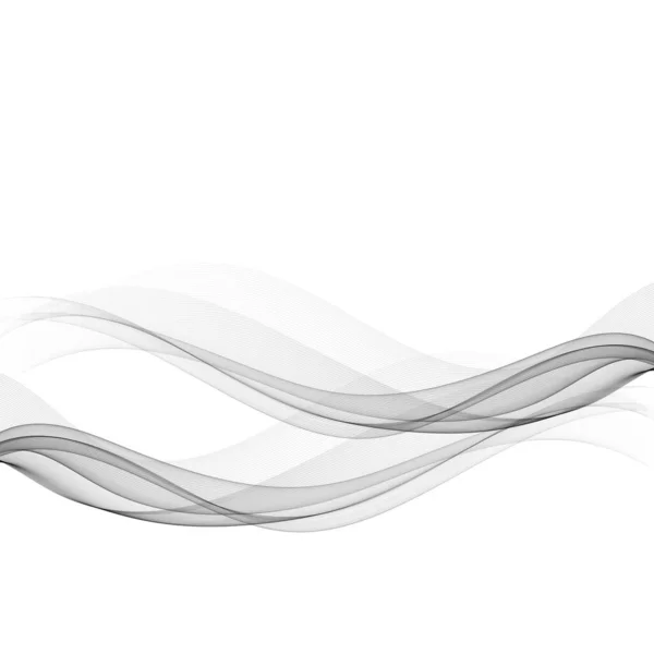 Abstract Smoke Background Vector business Smoke Gray Transparent Wave — Stock Vector