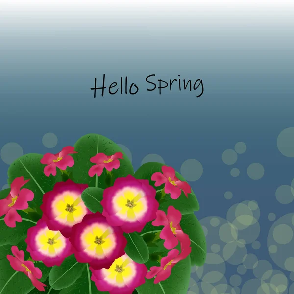 Buquê de prímulas rosa contra o fundo da folhagem verde, Olá primavera — Vetor de Stock