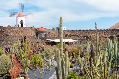 Kaktüs bahçesi, Lanzarote 'de turistik eğlence, Kanarya Adası, İspanya