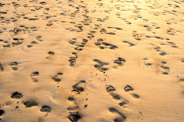 Von Oben Nasser Sand Mit Spuren Von Nackten Füßen Sonnigen — Stockfoto
