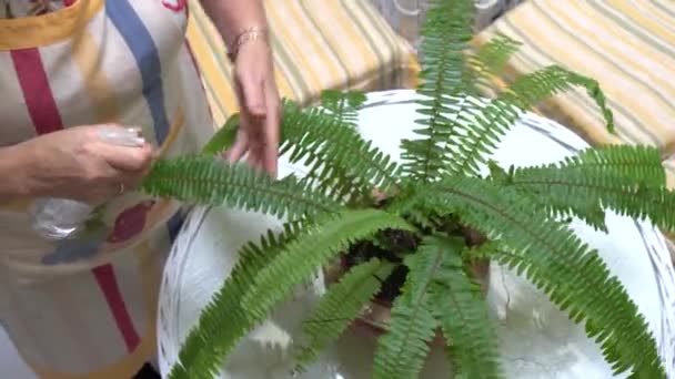 Пожилая Женщина Поливает Ухаживает Растениями Ярком Внутреннем Дворе Дома — стоковое видео