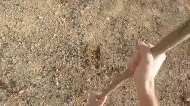 Güneşli bir günde tarlada çapayla çukur kazan adamın POV görüntüsü.