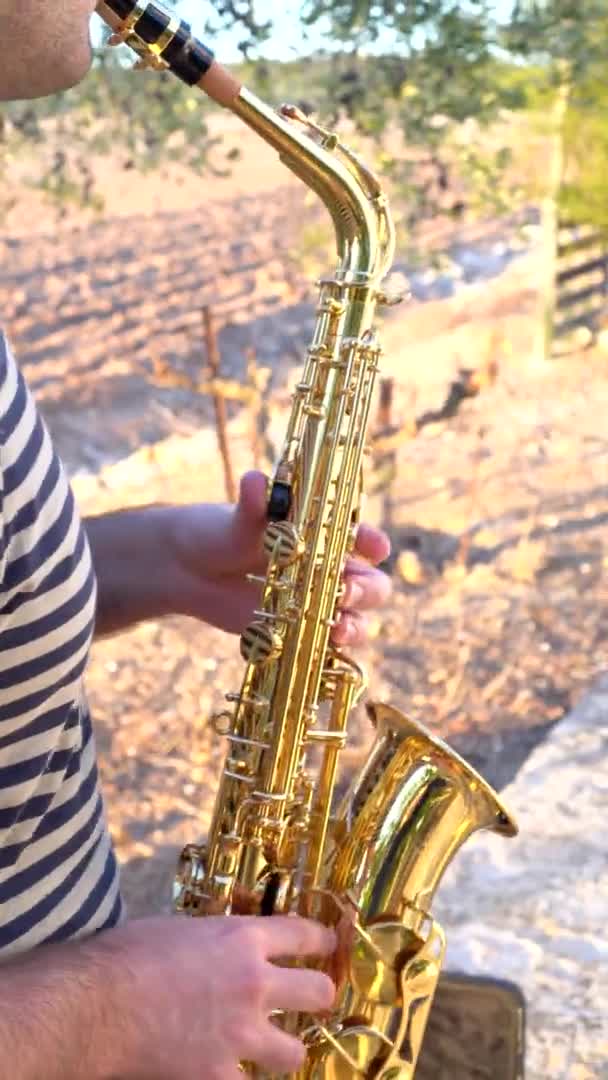 Vista Vertical Joven Tocando Saxofón Lugar Natural Durante Una Puesta — Vídeo de stock