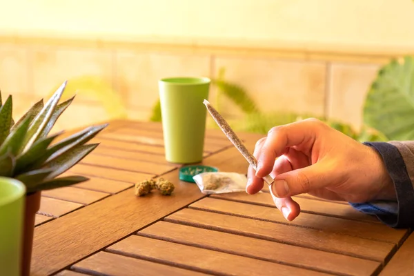 Person Rolled Marijuana Joint Natural Sunny Place Full Plants Copy — Stock Photo, Image