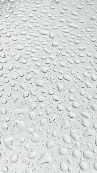 農場の200ミクロンPeプラスチック屋根に降雨 — ストック写真