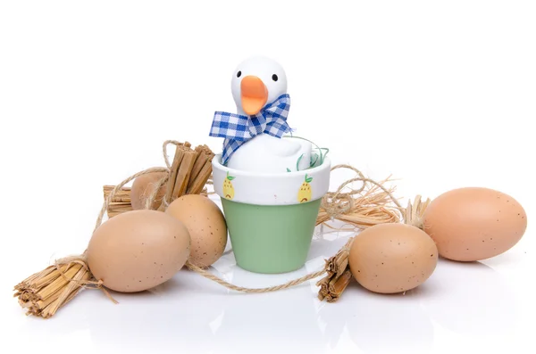 Some eggs around a duck — Stock Photo, Image