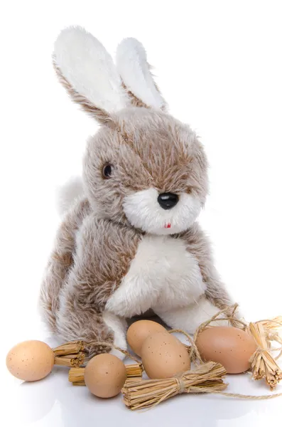 Een pluizige easter bunny met eieren — Stockfoto