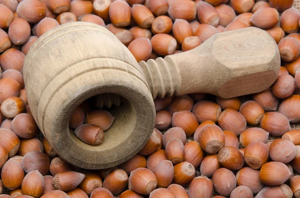Nutcracker on hazelnuts — Stock Photo, Image