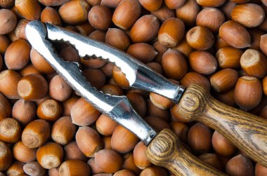 Fındıkkıran ile fındık