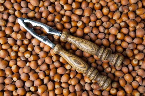 Hazelnuts with a nutcracker — Stock Photo, Image