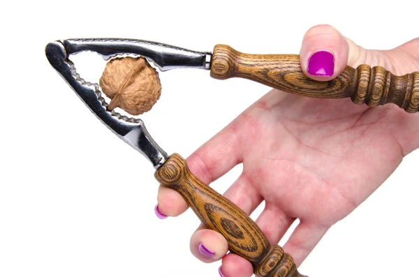 Hand opening a walnut with a nutcracker — Stock Photo, Image