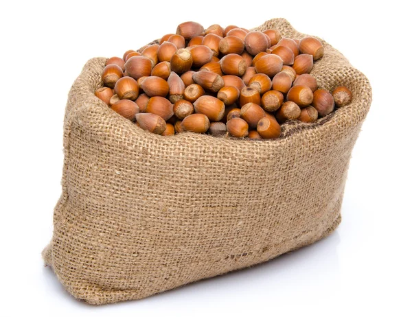 A lot of hazelnuts in a burlap bag — Stock Photo, Image