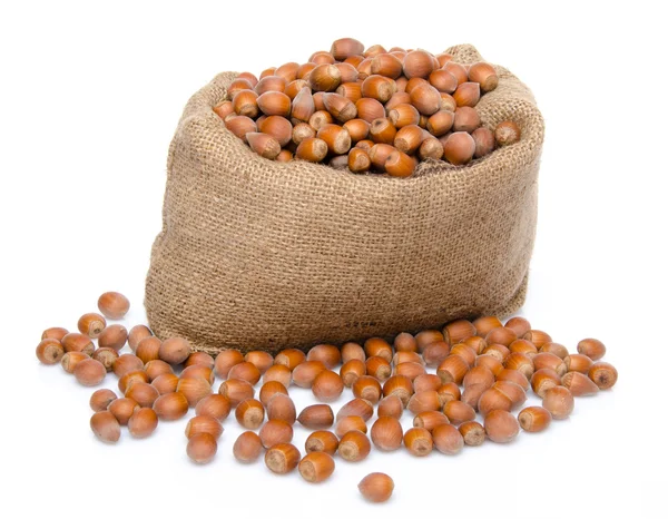 Hazelnuts in a burlap bag — Stock Photo, Image