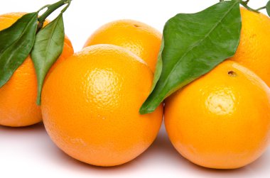 일부 오렌지와 함께 그들의 잎