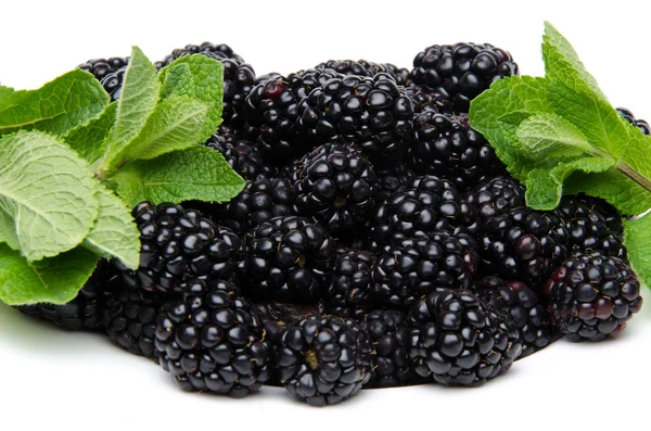 Fresh blackberries with mint — Stock Photo, Image