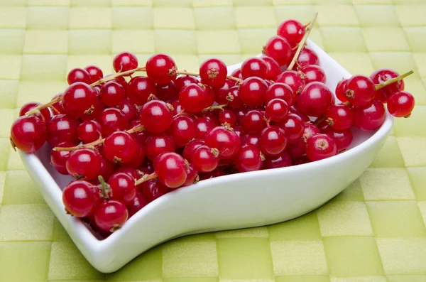 Redcurrants in a small dish — Stock Photo, Image