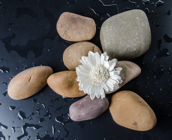 Composición de guijarros con una flor blanca — Foto de Stock