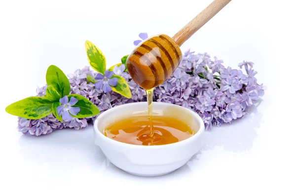 Miel con una flor lila y plantas verdes — Foto de Stock