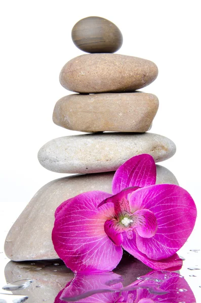 Composition of stacked pebbles with a purple flower — Stock Photo, Image