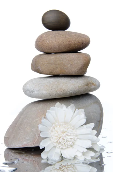Composition of stacked pebbles with a white flower — Stock Photo, Image