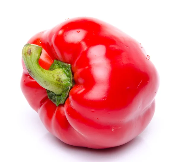 Röd paprika — Stockfoto