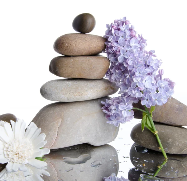 Composition of stacked pebbles with lilac — Stock Photo, Image