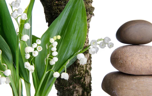 Bouquet of lilies near a tree branch and pebbles — Stock Photo, Image