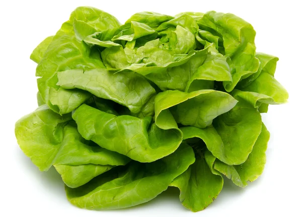 Салат из свежего салата — стоковое фото
