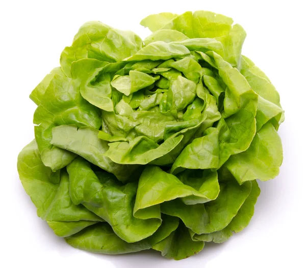 Салат из свежего салата — стоковое фото