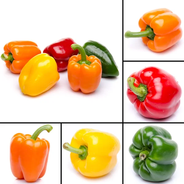 Collage of different peppers — Stock Photo, Image
