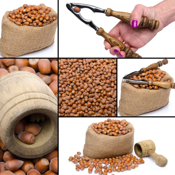 Collage of different views of hazelnuts — Stock Photo, Image