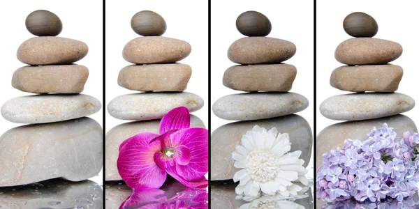 Collage of stacked pebbles with flowers — Stock Photo, Image