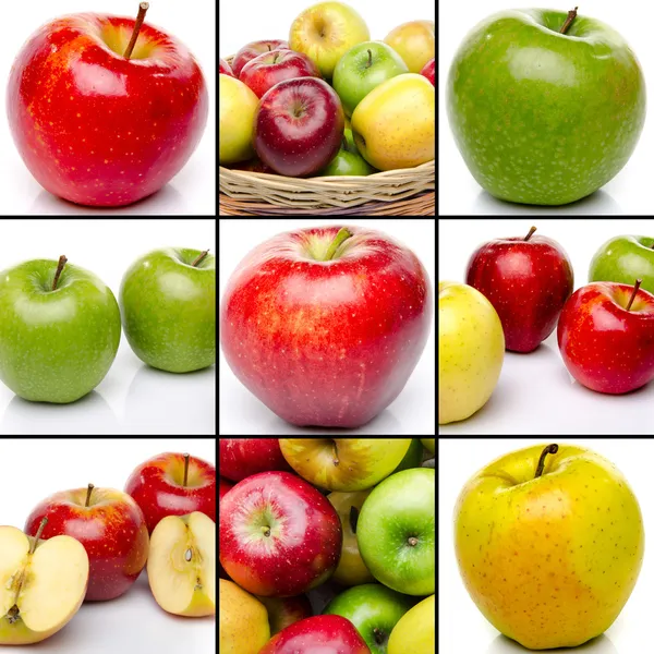 Kollázs-összetételek különböző almával — Stock Fotó