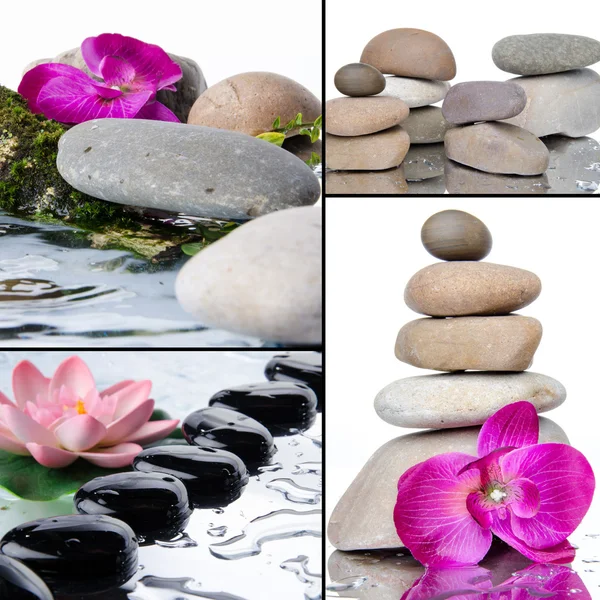 Collage of different compositions with pebbles and flowers — Stock Photo, Image