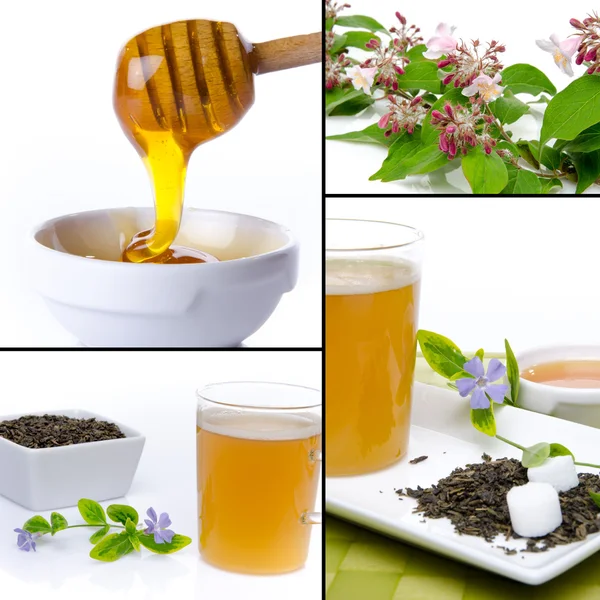 蜂蜜与茶叶成分的拼贴画 — 图库照片