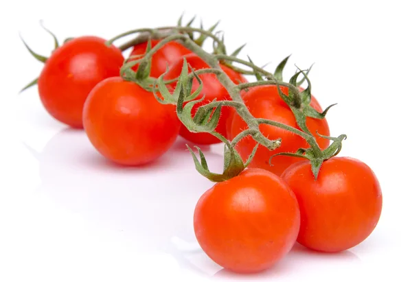 Tomates cereja — Fotografia de Stock