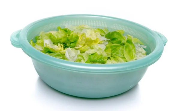 Mencuci selada dalam mangkuk plastik — Stok Foto
