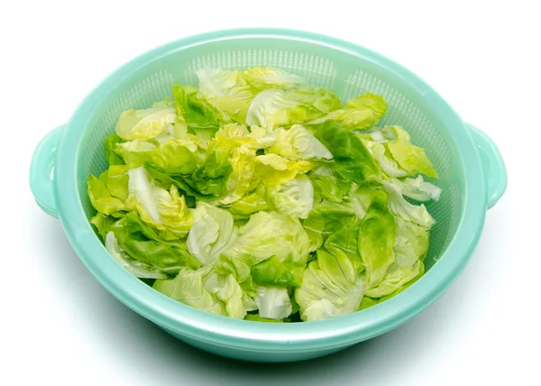 Washing of lettuce in a plastic bowl — Stock Photo, Image