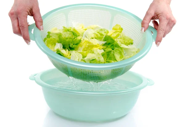 Mencuci selada dalam mangkuk plastik — Stok Foto