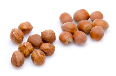 açılmış ve bütün fındık