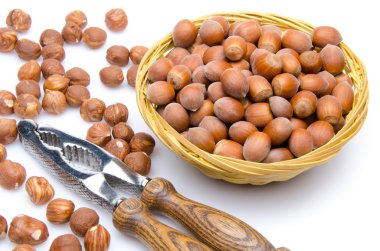 Fındıkkıran sepet içinde fındık