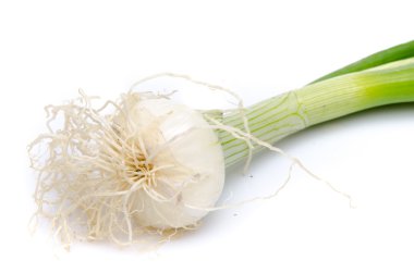 Yeşil sapı ile beyaz soğan