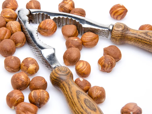 Nutcracker with opened hazelnuts — Stock Photo, Image