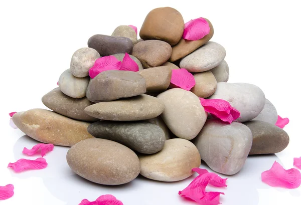 Pill of pebbles with pink petals — Stock Photo, Image