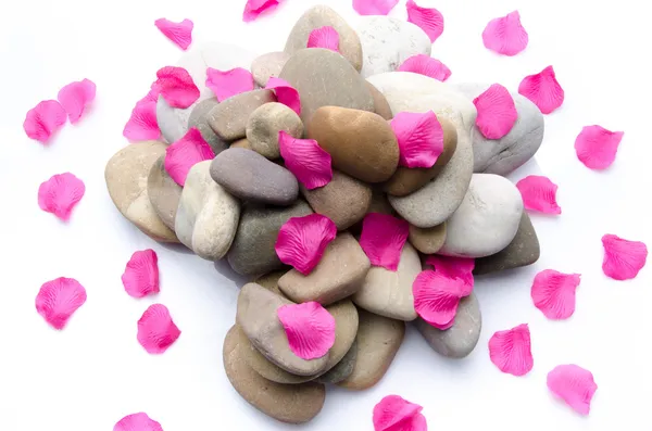 Pill of pebbles with pink petals — Stock Photo, Image