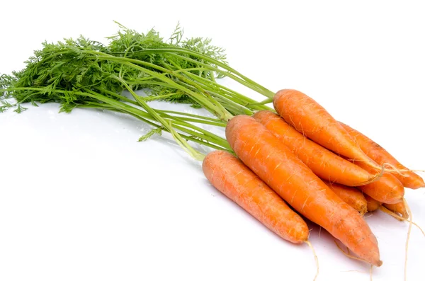 Bunch of fresh carrots with leaves — Stock Photo, Image