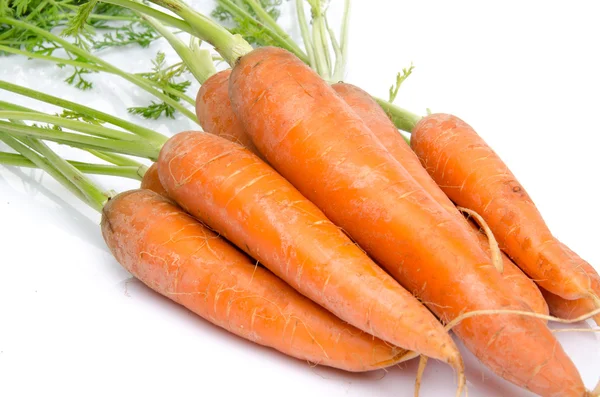 Ein Bund frischer Karotten mit Blättern — Stockfoto